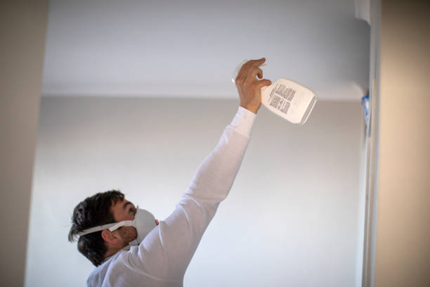 Best Bathroom Mold Remediation in White Plains, NY