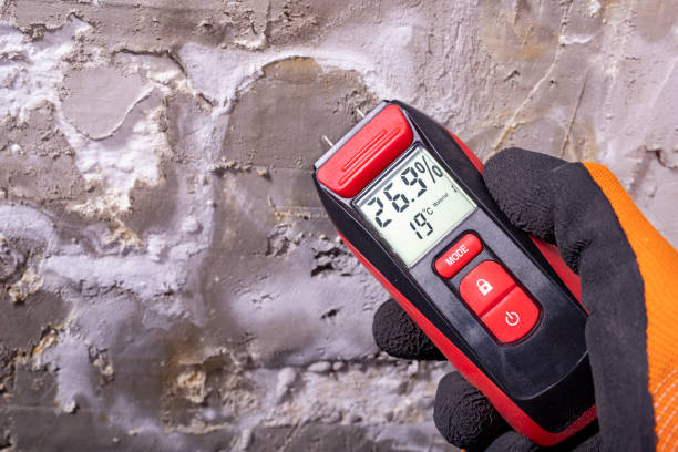 Best Attic Mold Remediation in White Plains, NY