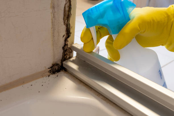 White Plains, NY Mold Remediation Company
