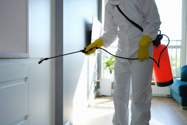 Best Industrial Mold Remediation in White Plains, NY