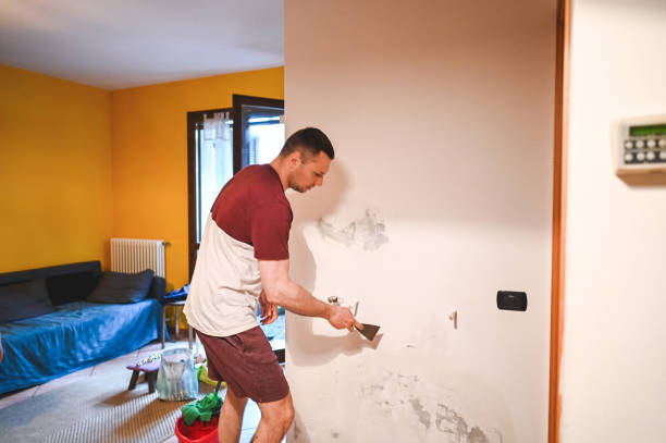 Best Residential Mold Remediation in White Plains, NY